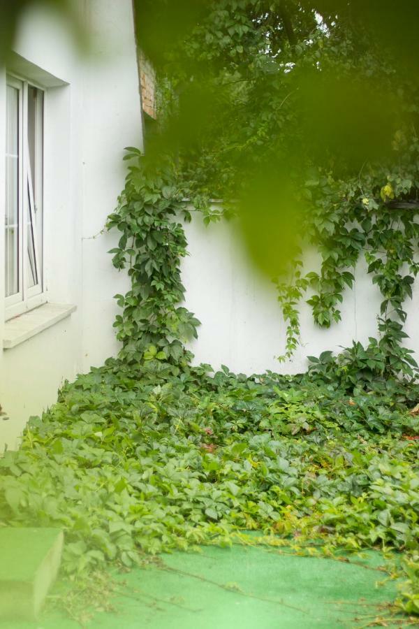 Magic Garden Hostel Kalisz  Bagian luar foto
